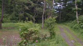 長野県菅平高原 ゆたか山荘 坂上 2026/07/10 15:15