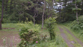 長野県菅平高原 ゆたか山荘 坂上 2026/07/10 15:45