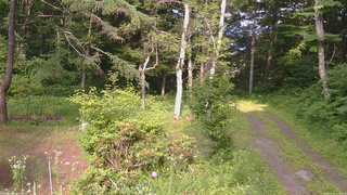長野県菅平高原 ゆたか山荘 坂上 2026/07/10 16:00