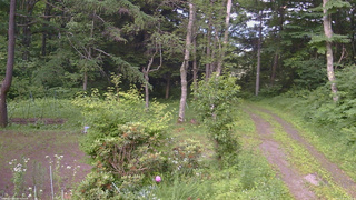 長野県菅平高原 ゆたか山荘 坂上 2026/07/10 16:15