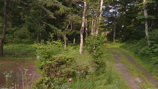 長野県菅平高原 ゆたか山荘 坂上 2026/07/10 16:30