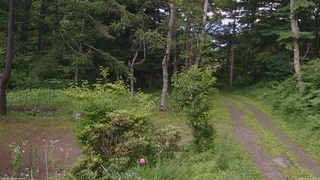 長野県菅平高原 ゆたか山荘 坂上 2026/07/10 16:45