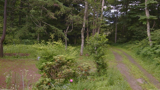 長野県菅平高原 ゆたか山荘 坂上 2026/07/10 17:15