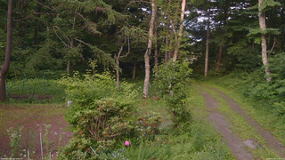 長野県菅平高原 ゆたか山荘 坂上 2026/07/10 17:30