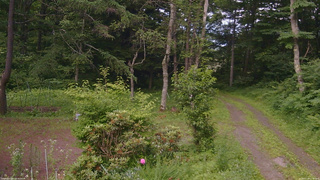 長野県菅平高原 ゆたか山荘 坂上 2026/07/10 17:45