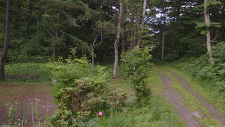 長野県菅平高原 ゆたか山荘 坂上 2026/07/10 18:00