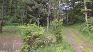 長野県菅平高原 ゆたか山荘 坂上 2026/07/10 18:30