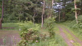 長野県菅平高原 ゆたか山荘 坂上 2026/07/10 18:45