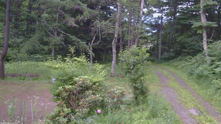 長野県菅平高原 ゆたか山荘 坂上 2026/07/10 19:00