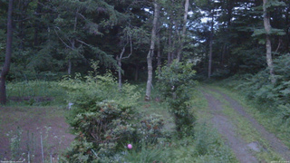 長野県菅平高原 ゆたか山荘 坂上 2026/07/10 19:15