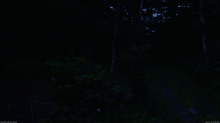 長野県菅平高原 ゆたか山荘 坂上 2026/07/10 19:30