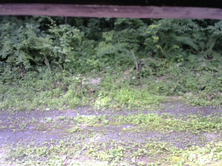 長野県菅平高原 ゆたか山荘 東側(坂下) 2026/07/11 09:15