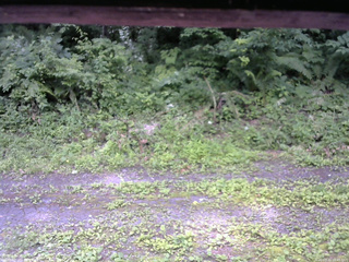 長野県菅平高原 ゆたか山荘 東側(坂下) 2026/07/11 10:45