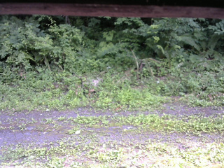 長野県菅平高原 ゆたか山荘 東側(坂下) 2026/07/11 14:30