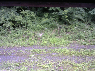 長野県菅平高原 ゆたか山荘 東側(坂下) 2026/07/11 14:45