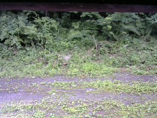 長野県菅平高原 ゆたか山荘 東側(坂下) 2026/07/11 15:15