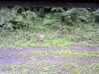 長野県菅平高原 ゆたか山荘 東側(坂下) 2026/07/11 15:45