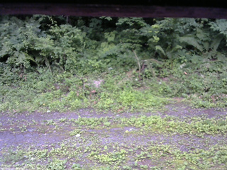 長野県菅平高原 ゆたか山荘 東側(坂下) 2026/07/11 16:45