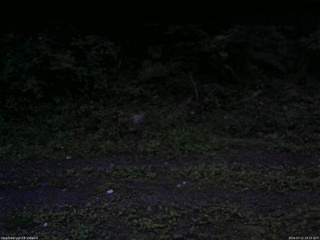 長野県菅平高原 ゆたか山荘 東側(坂下) 2026/07/11 19:15