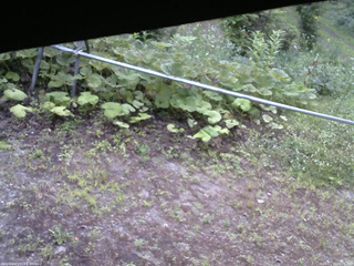 長野県菅平高原 ゆたか山荘 駐車場 2026/07/11 06:15