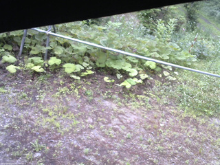 長野県菅平高原 ゆたか山荘 駐車場 2026/07/11 06:30