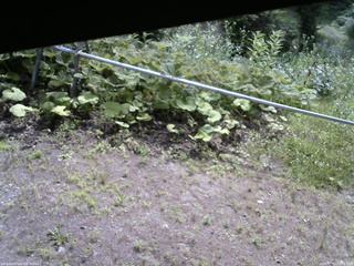 長野県菅平高原 ゆたか山荘 駐車場 2026/07/11 09:15