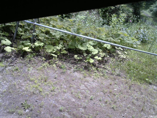 長野県菅平高原 ゆたか山荘 駐車場 2026/07/11 09:30