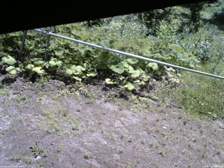長野県菅平高原 ゆたか山荘 駐車場 2026/07/11 10:15