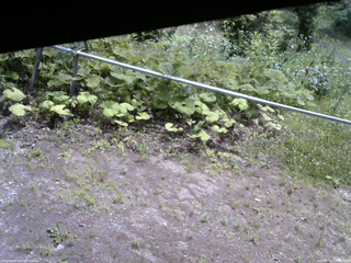 長野県菅平高原 ゆたか山荘 駐車場 2026/07/11 10:30