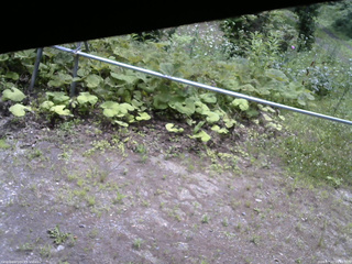 長野県菅平高原 ゆたか山荘 駐車場 2026/07/11 10:45