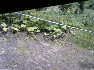 長野県菅平高原 ゆたか山荘 駐車場 2026/07/11 11:15