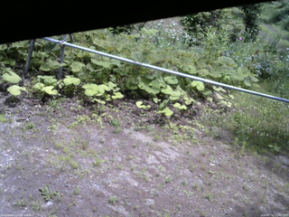 長野県菅平高原 ゆたか山荘 駐車場 2026/07/11 11:45