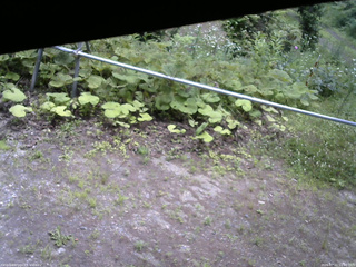 長野県菅平高原 ゆたか山荘 駐車場 2026/07/11 12:00