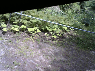 長野県菅平高原 ゆたか山荘 駐車場 2026/07/11 12:30