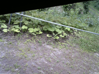 長野県菅平高原 ゆたか山荘 駐車場 2026/07/11 16:15