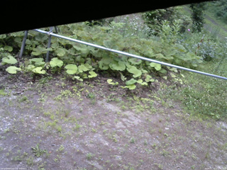 長野県菅平高原 ゆたか山荘 駐車場 2026/07/11 17:00