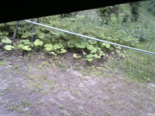 長野県菅平高原 ゆたか山荘 駐車場 2026/07/11 17:15