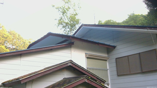 長野県菅平高原 ゆたか山荘 駐車場奥 2026/07/11 05:15