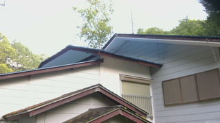 長野県菅平高原 ゆたか山荘 駐車場奥 2026/07/11 05:45