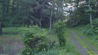 長野県菅平高原 ゆたか山荘 坂上 2026/07/11 05:00