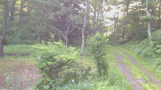 長野県菅平高原 ゆたか山荘 坂上 2026/07/11 05:15