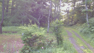 長野県菅平高原 ゆたか山荘 坂上 2026/07/11 05:45