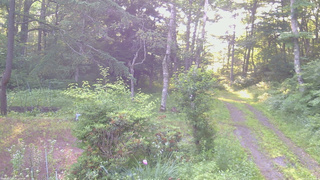 長野県菅平高原 ゆたか山荘 坂上 2026/07/11 06:00