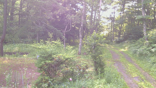 長野県菅平高原 ゆたか山荘 坂上 2026/07/11 06:30
