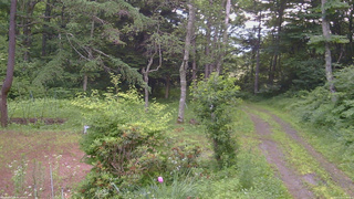 長野県菅平高原 ゆたか山荘 坂上 2026/07/11 07:00