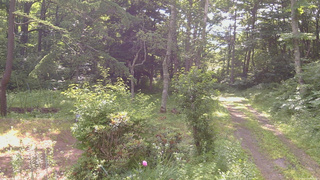 長野県菅平高原 ゆたか山荘 坂上 2026/07/11 08:00