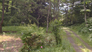 長野県菅平高原 ゆたか山荘 坂上 2026/07/11 08:15