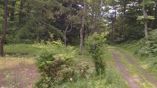 長野県菅平高原 ゆたか山荘 坂上 2026/07/11 08:30