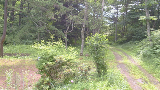 長野県菅平高原 ゆたか山荘 坂上 2026/07/11 09:00