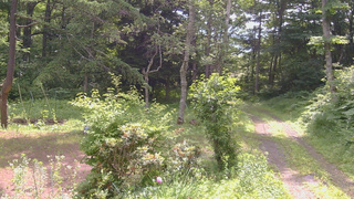 長野県菅平高原 ゆたか山荘 坂上 2026/07/11 09:30